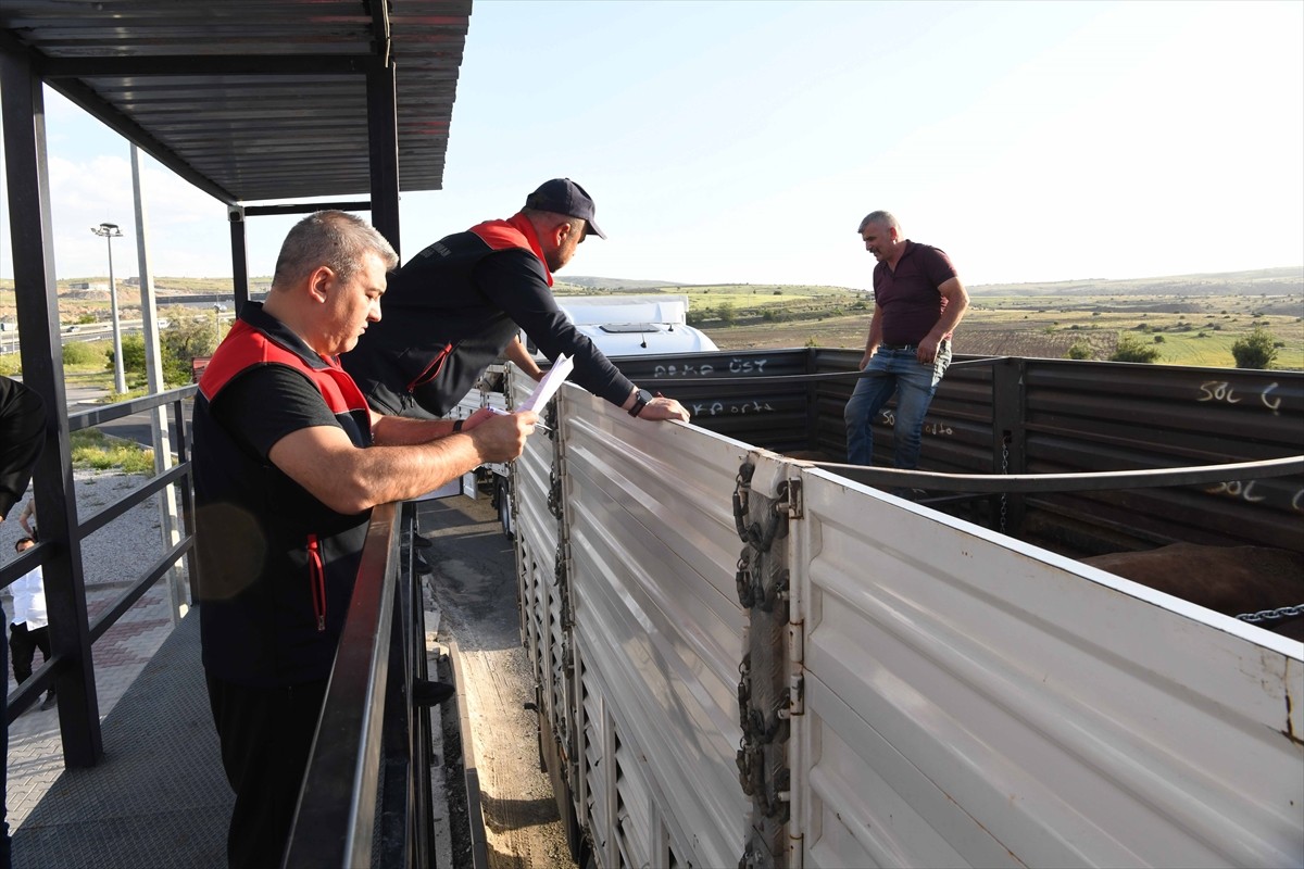 Kurban Bayramı'na günler kala veteriner yol denetim ve kontrol istasyonları hayvanların sağlıklı...