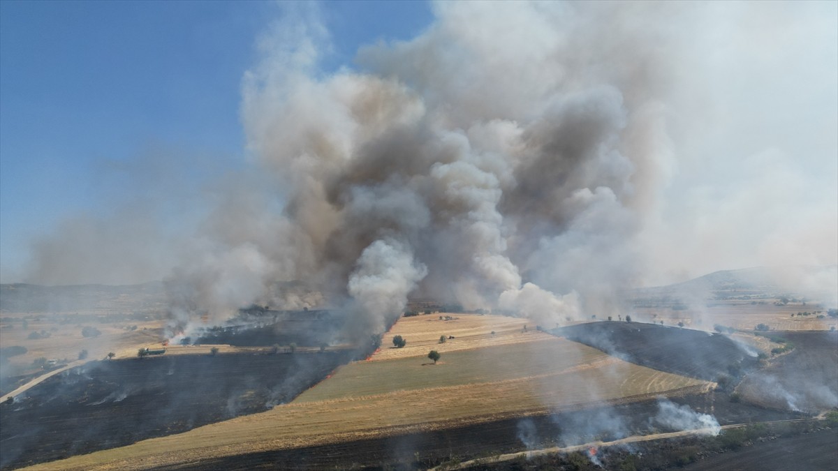 Manisa'nın Kula ilçesinde buğday tarlasında çıkan yangın, ekiplerin müdahalesiyle kontrol altına...