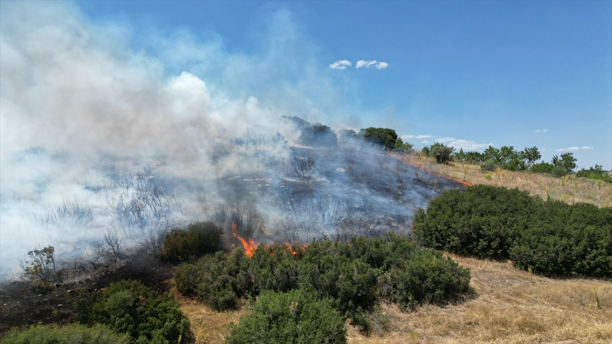 Manisa'nın Kula ilçesinde makilik alanda çıkan yangın kontrol altına alındı. 