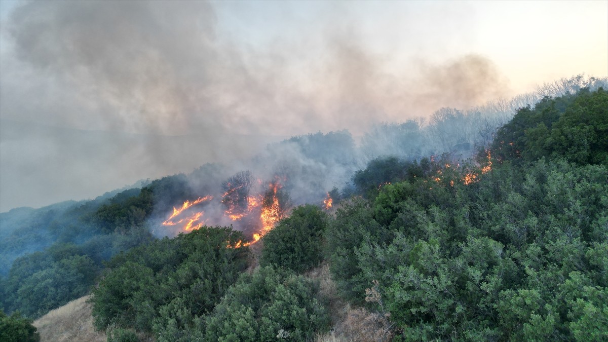  Manisa'nın Kula ilçesinde, yerleşim alanına yakın makilikte çıkan yangın söndürüldü.