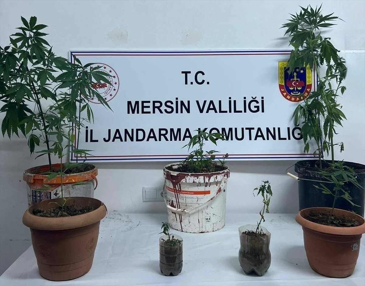 Mersin'de uyuşturucu operasyonunda gözaltına alınan 4 zanlıdan 1'i tutuklandı. Operasyonda 664...
