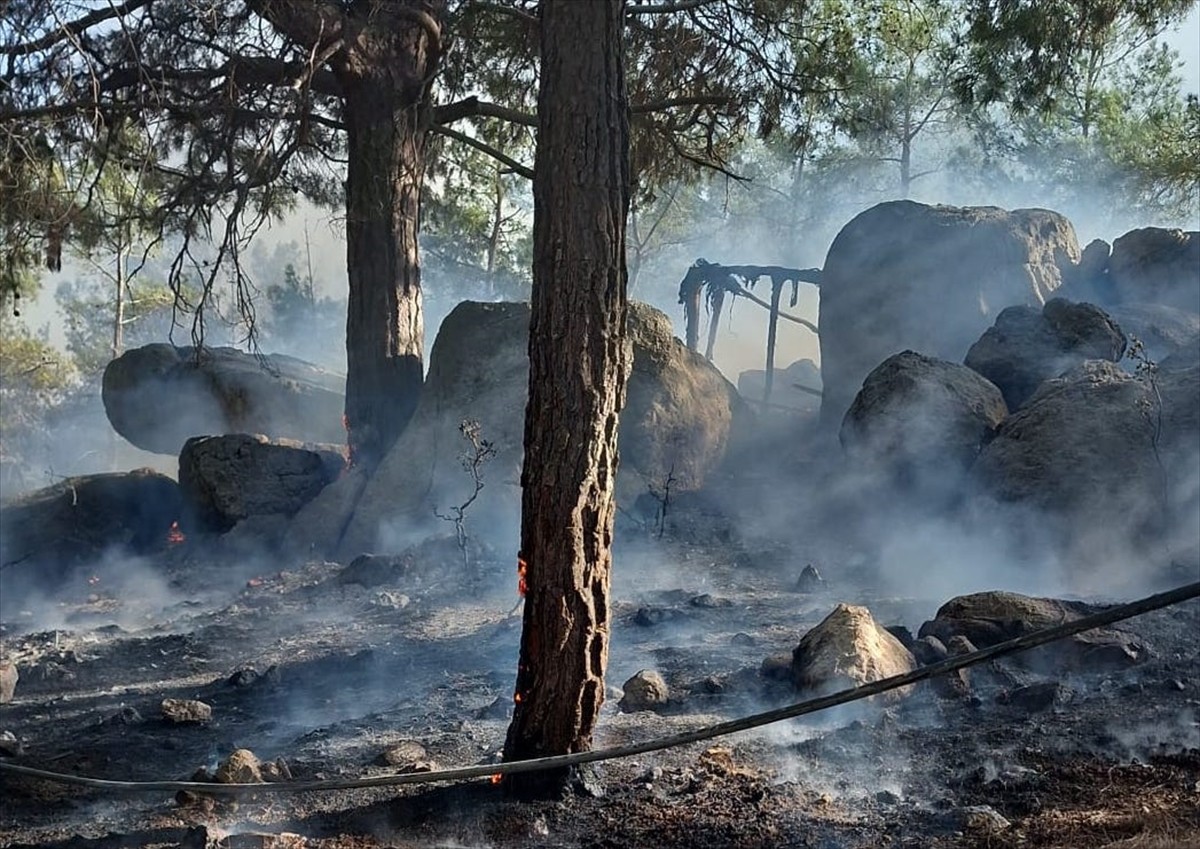 Mersin'in Aydıncık ilçesinde çıkan orman yangını karadan müdahaleyle söndürüldü.