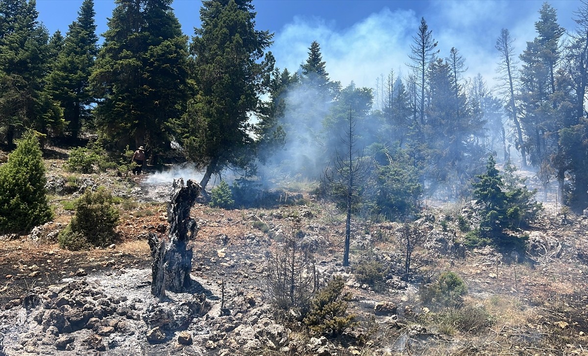 Mersin'in Erdemli ilçesinde çıkan orman yangınına havadan ve karadan müdahale ediliyor.