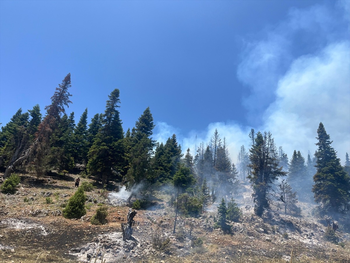 Mersin'in Erdemli ilçesinde çıkan orman yangınına havadan ve karadan müdahale ediliyor.