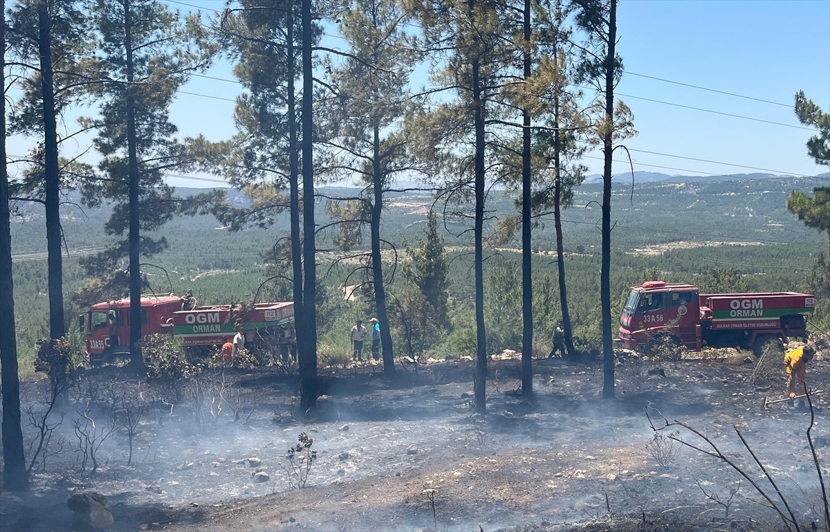 Mersin'in Gülnar ilçesinde çıkan orman yangını ekiplerin müdahalesiyle kontrol altına...