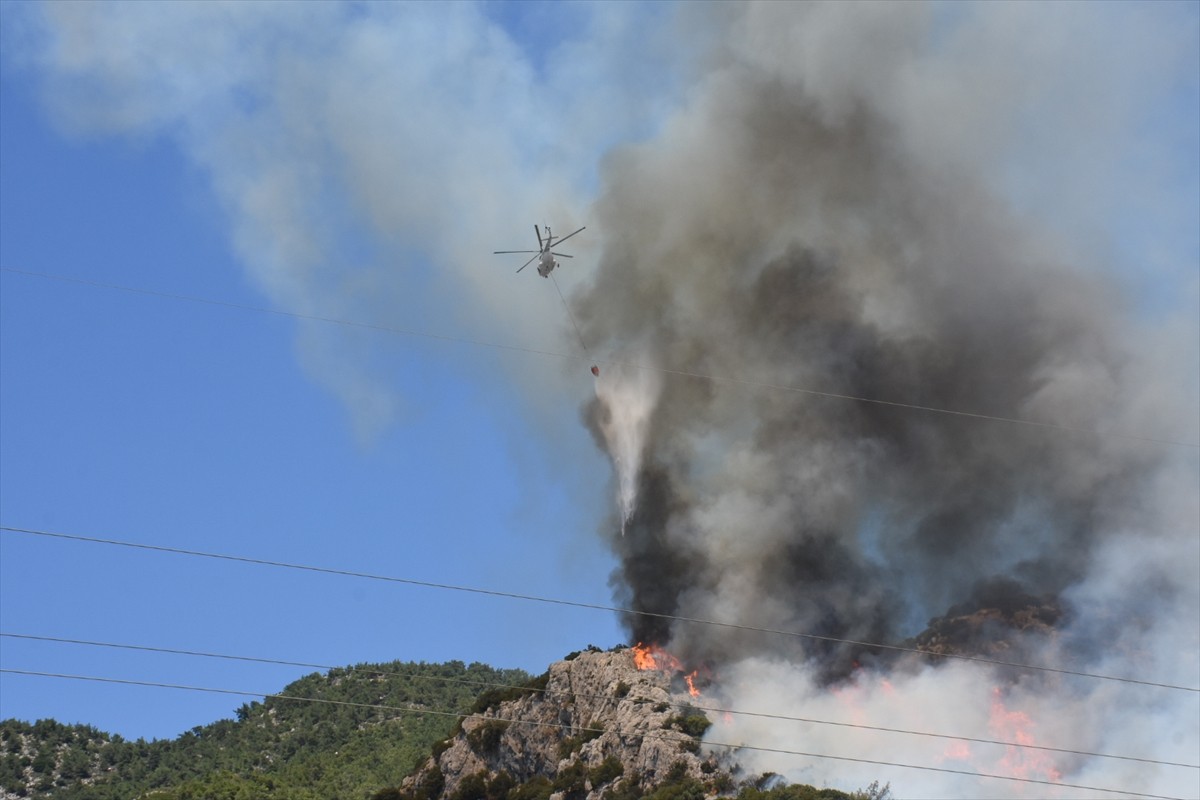 Muğla'nın Bodrum ilçesinde çıkan orman yangını, havadan ve karadan müdahaleyle kontrol altına...