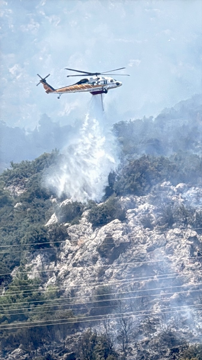 Muğla'nın Bodrum ilçesinde çıkan orman yangını, havadan ve karadan müdahaleyle kontrol altına...