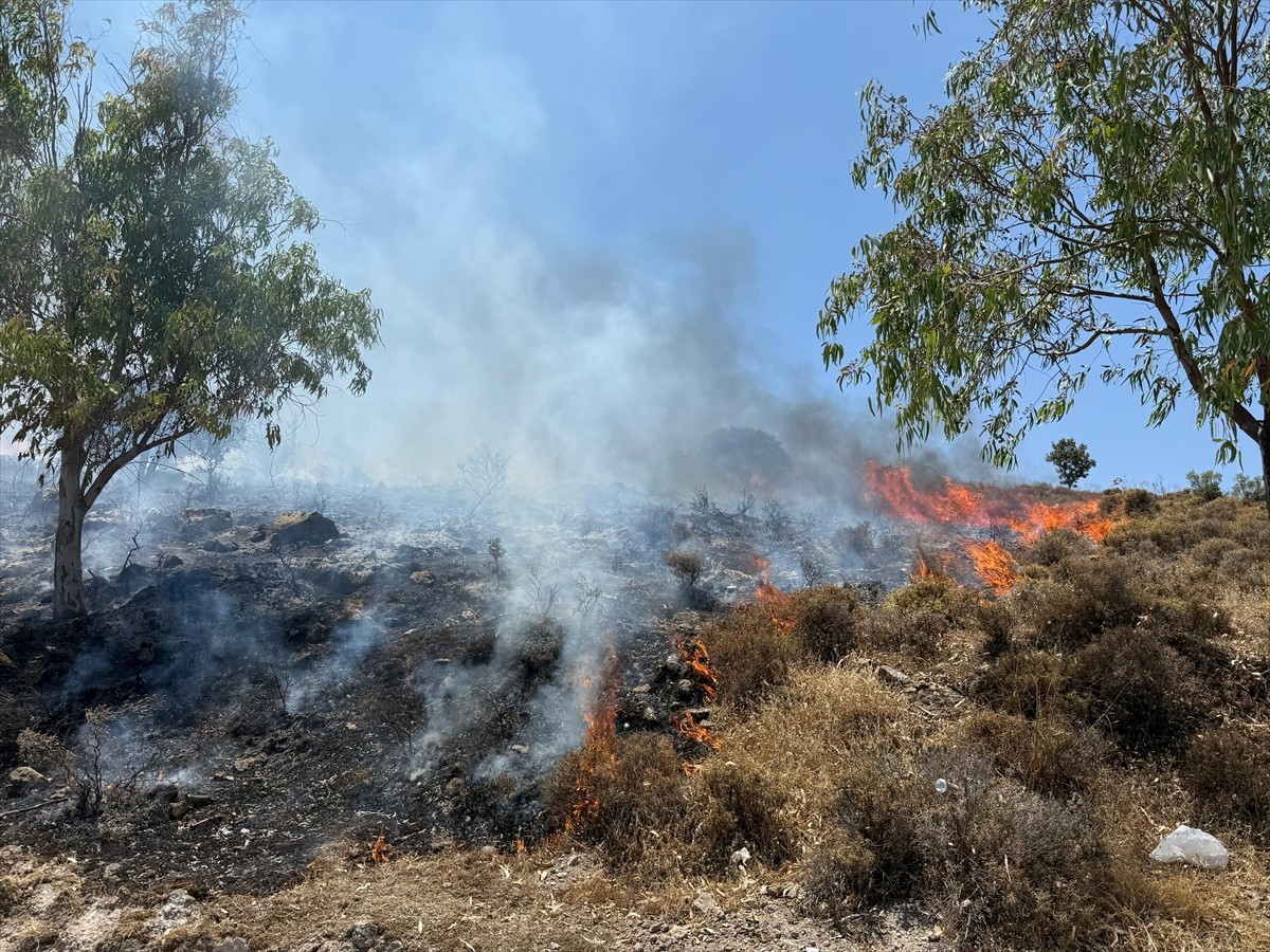 Muğla'nın Bodrum ilçesinde makilik ve otluk alanda çıkan yangına karadan ve havadan müdahale...