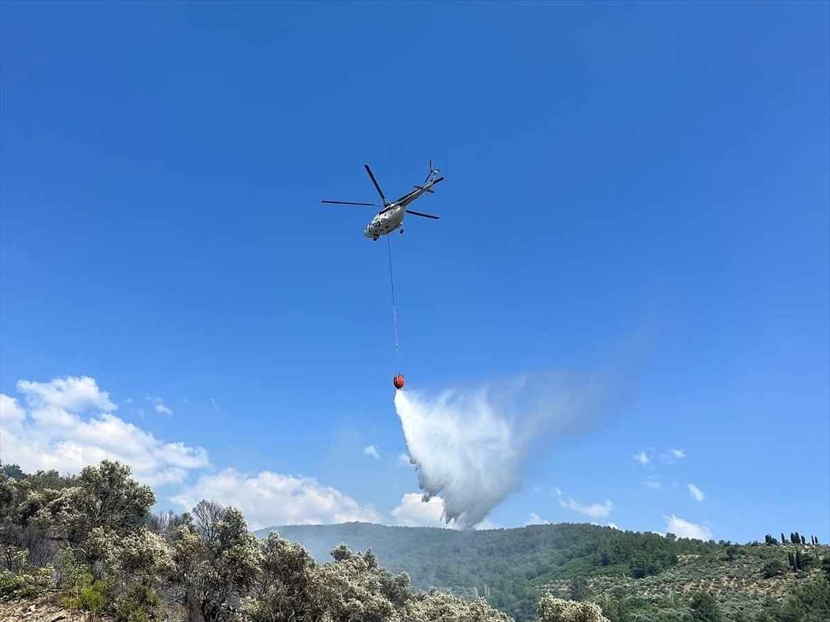  Muğla'nın Menteşe ilçesinde makilik ve zeytinlik alanda çıkan yangın havadan ve karadan...