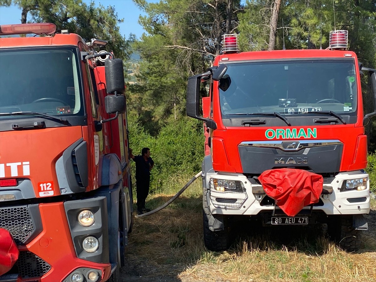 Osmaniye'nin Kadirli ilçesinde ormanlık alanda çıkan yangın, havadan ve karadan müdahaleyle...