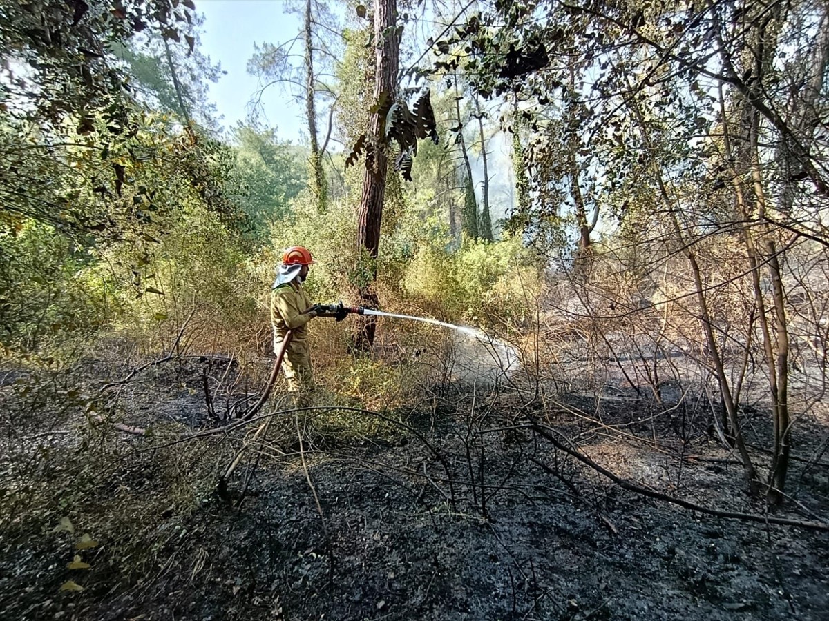Osmaniye'nin Kadirli ilçesinde ormanlık alanda çıkan yangın, havadan ve karadan müdahaleyle...