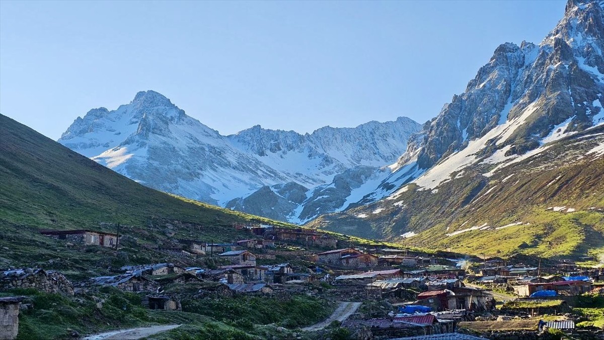 Rize'nin Çamlıhemşin ilçesine bağlı Avusor ve Kavron yaylalarının yüksek kesimleri kar yağışının...