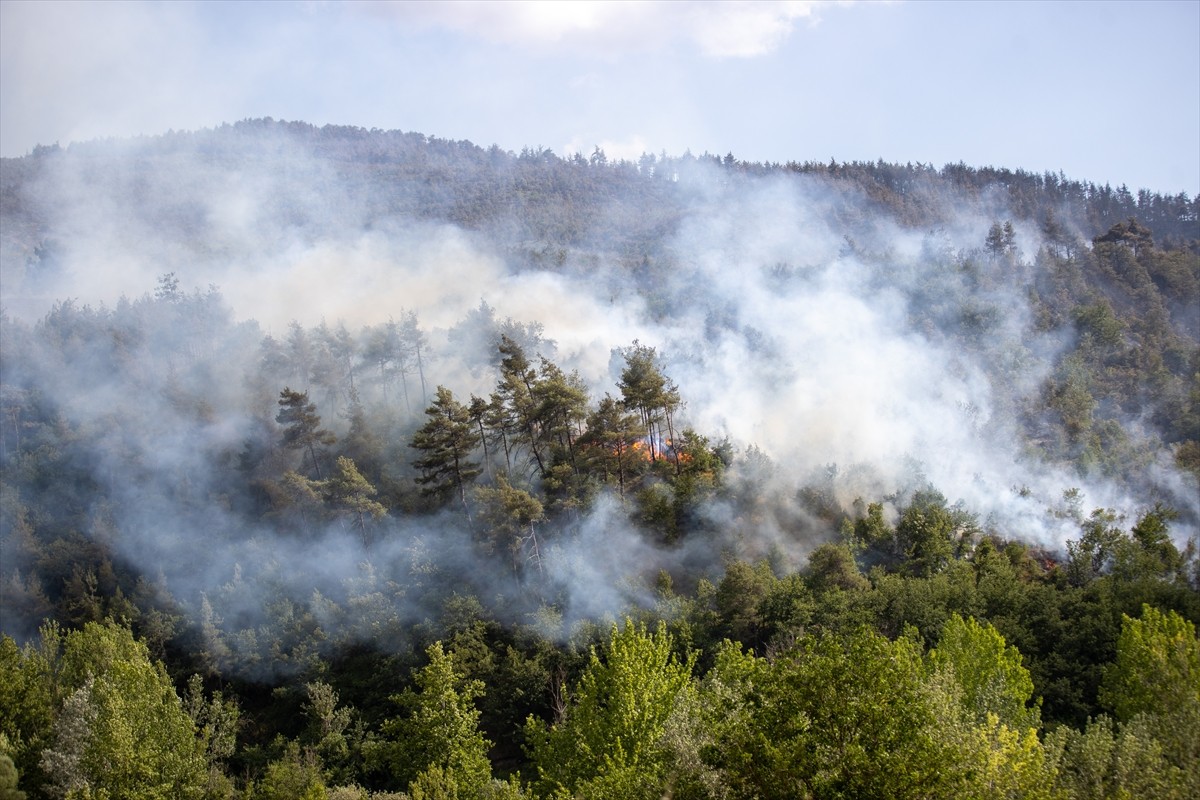 Sakarya'da çıkıp Bilecik tarafına sıçrayan orman yangınında ekiplerin söndürme ve soğutma...