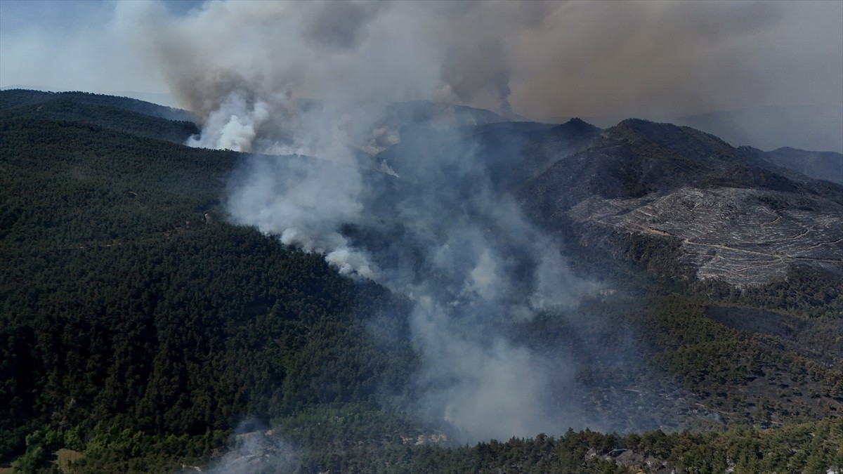 Sakarya'nın Taraklı ilçesinde çıkan orman yangınını kontrol altına almak için havadan ve karadan...