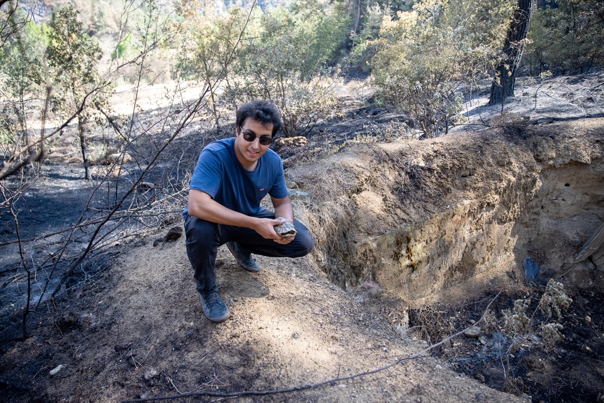 Sakarya'nın Taraklı ilçesindeki orman yangınında ekiplerin soğutma çalışmaları sürüyor. Hacıyakup...