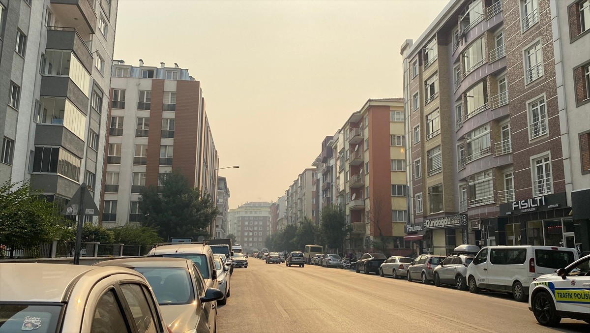 Sakarya'nın Taraklı ilçesindeki ormanlık alanda çıkan ve Bilecik tarafına sıçrayan yangın...