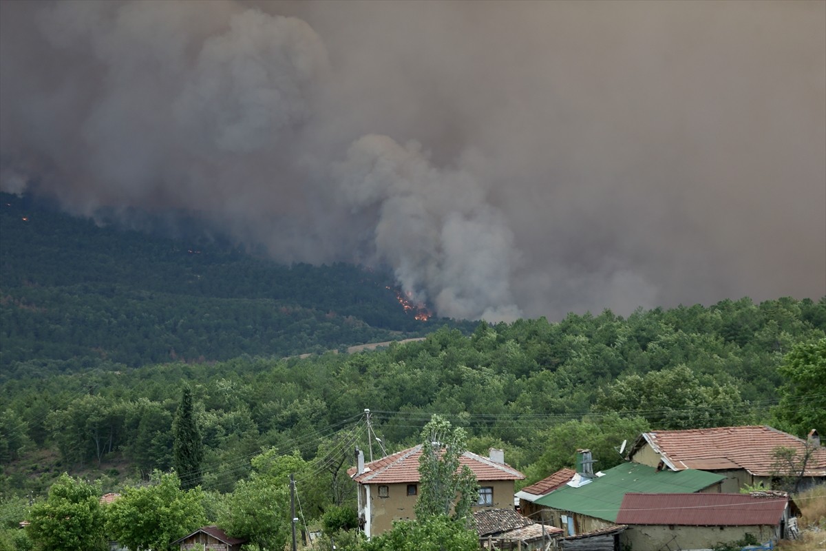 Sakarya'nın Taraklı ilçesindeki ormanlık alanda çıkan ve Bilecik tarafına sıçrayan yangın kontrol...