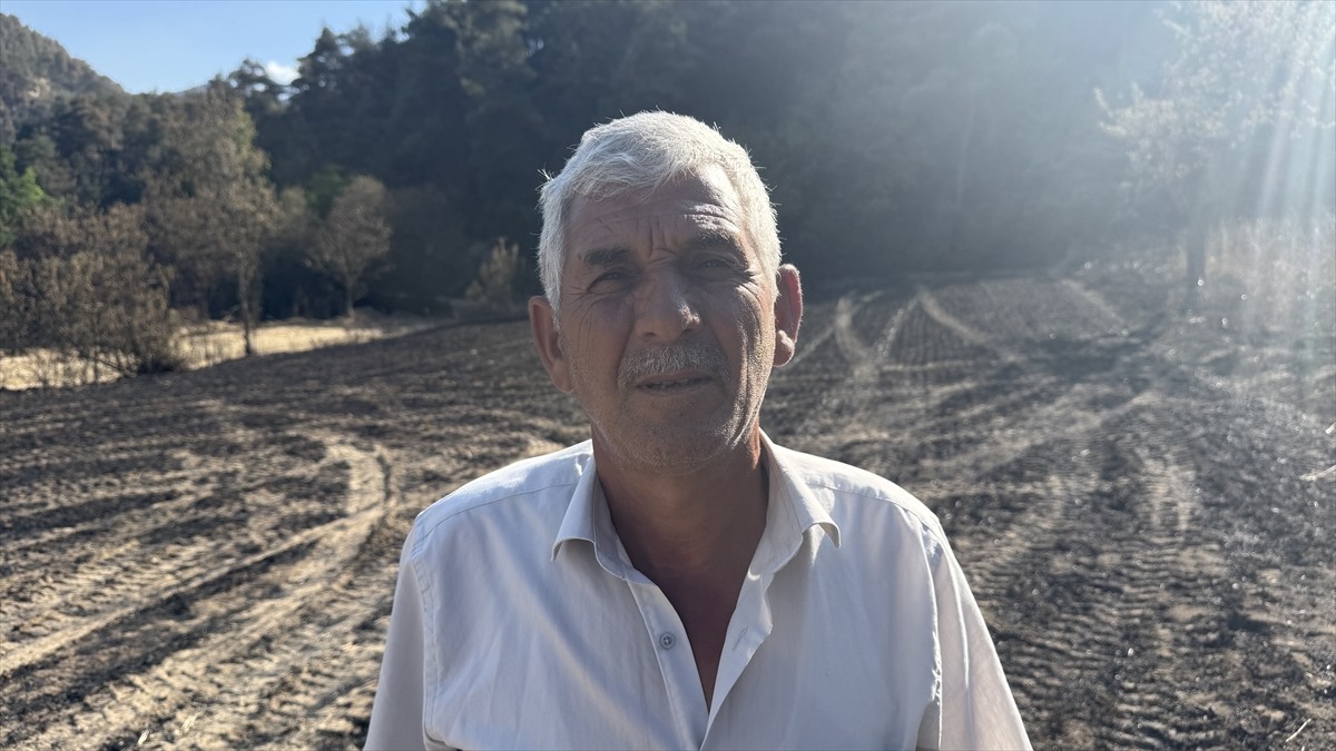 Sakarya'nın Taraklı ilçesindeki ormanlık alanda çıkan yangında ekinleri ve tarım aletleri zarar...