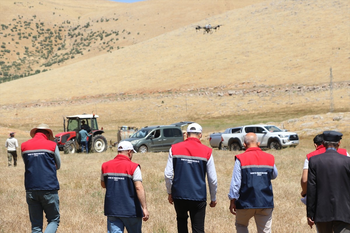 Siirt'in Pervari ilçesinde görülen çekirgelere karşı İl Tarım ve Orman Müdürlüğü ekiplerince 3 bin...