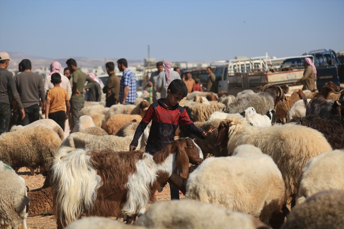 Suriye'de yıllarca süren iç savaşın ardından devrik Baas rejiminin çökmesiyle özgürleşen...
