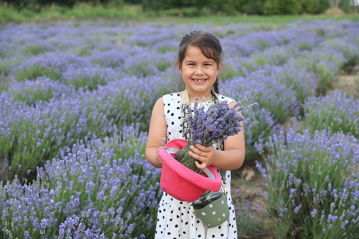 Tarım ve Orman Bakanlığına bağlı Trakya Tarımsal Araştırma Enstitüsünün "8. Edirne Lavanta Tarla...