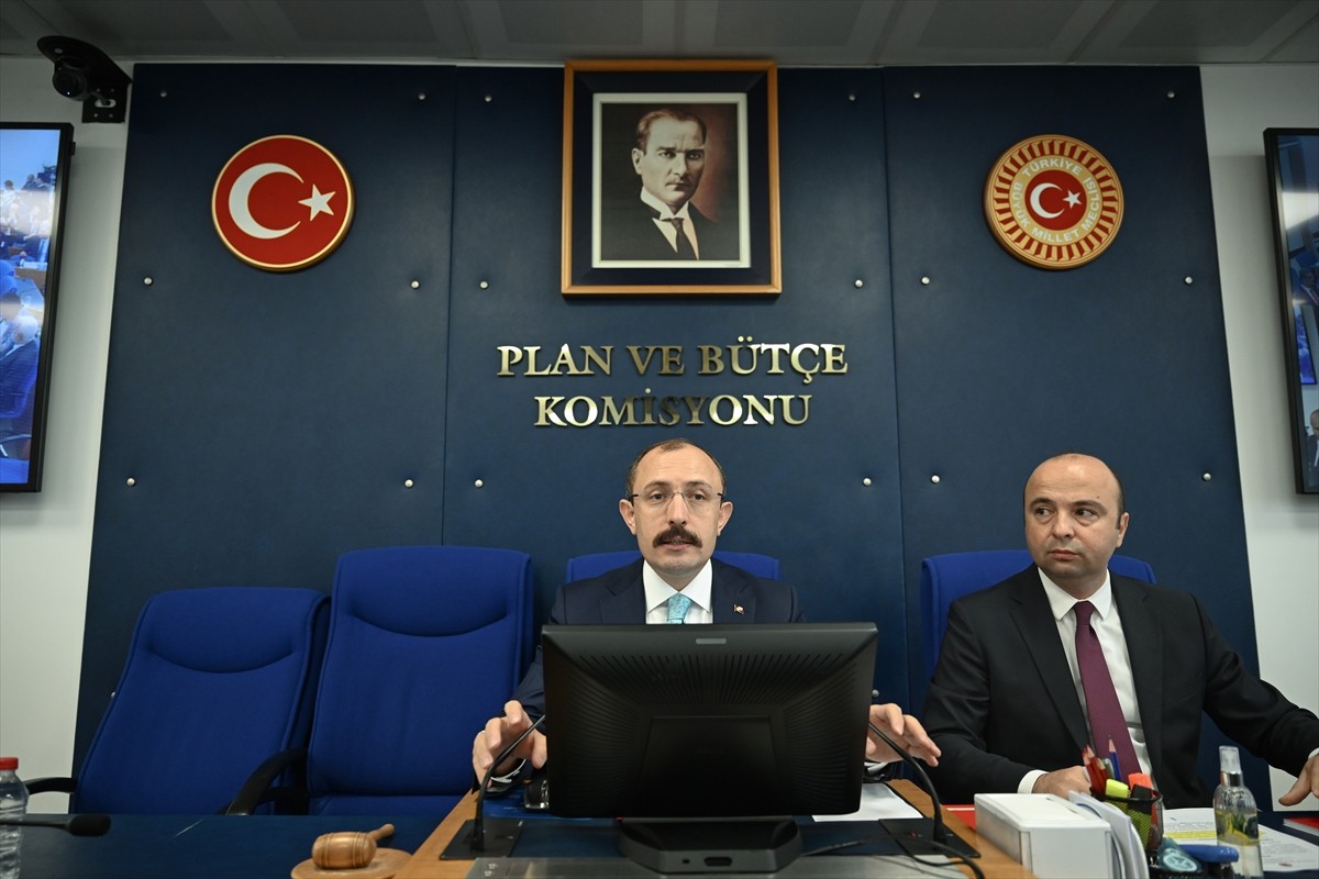 TBMM Plan ve Bütçe Komisyonunda, Türk Parasının Kıymetini Koruma Hakkında Kanun ve Bazı Kanunlarda...