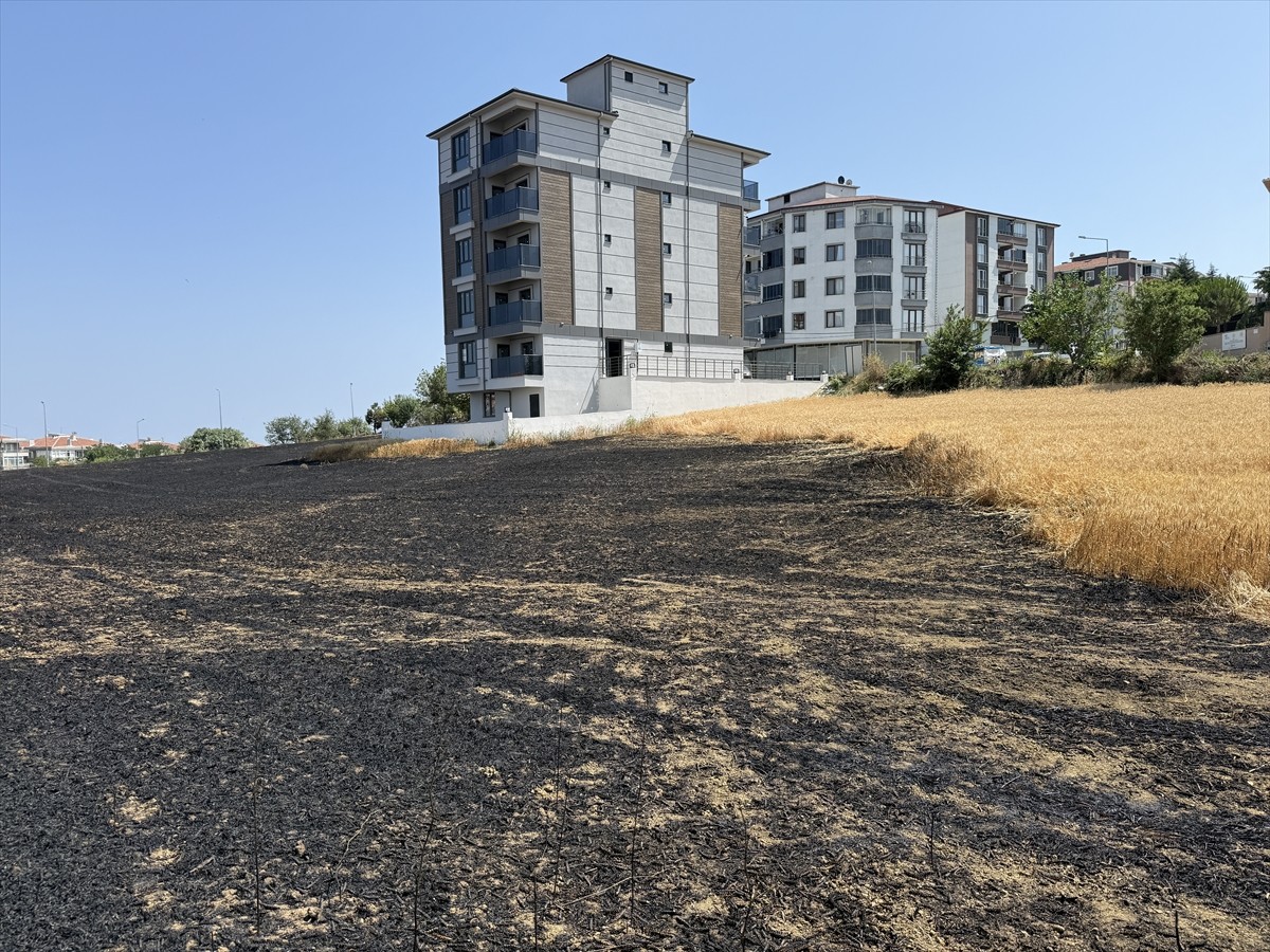 Tekirdağ'da bir tarlada çıkan yangında 30 dekar buğday ekili alan yandı.