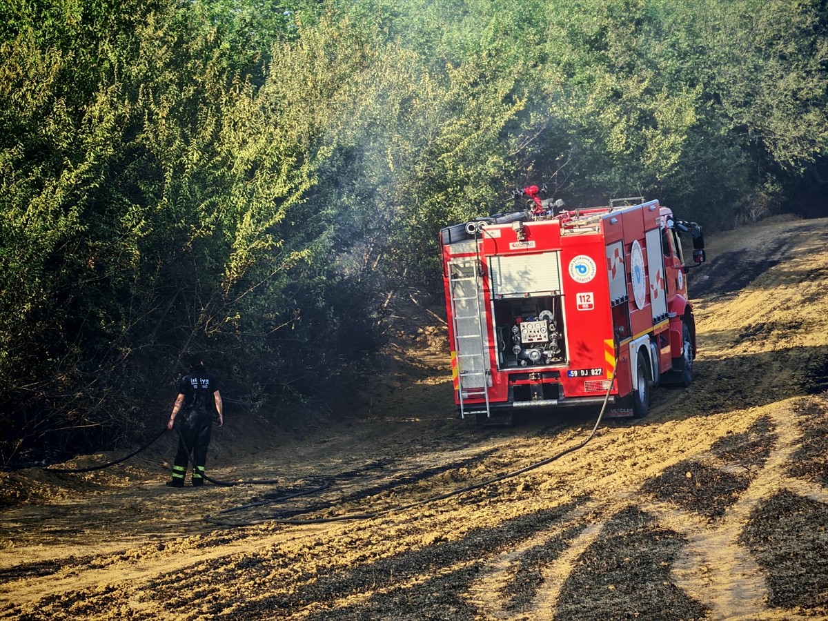 Tekirdağ'ın Malkara ilçesinde bir tarlada çıkan yangında 200 dekar buğday ekili alan yandı.