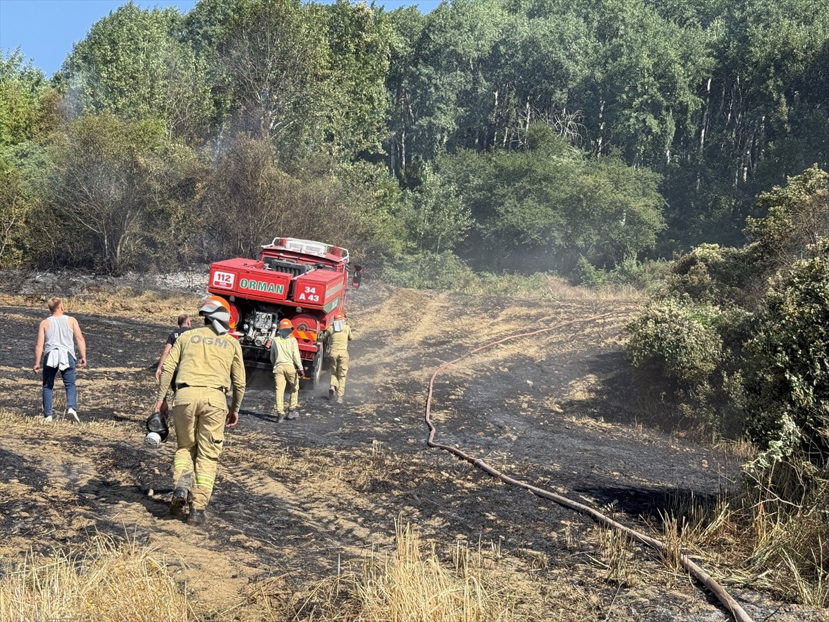 Tekirdağ'ın Şarköy ilçesinde buğday tarlasında başlayıp makilik alana sıçrayan yangın...