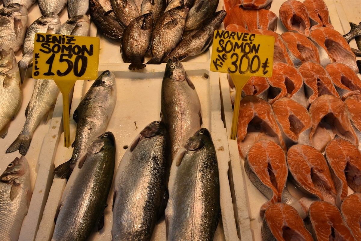 Trabzon'da balıkçı tezgahlarında somon ve alabalığın kilogramı, 150 ila 300 liradan satışa...