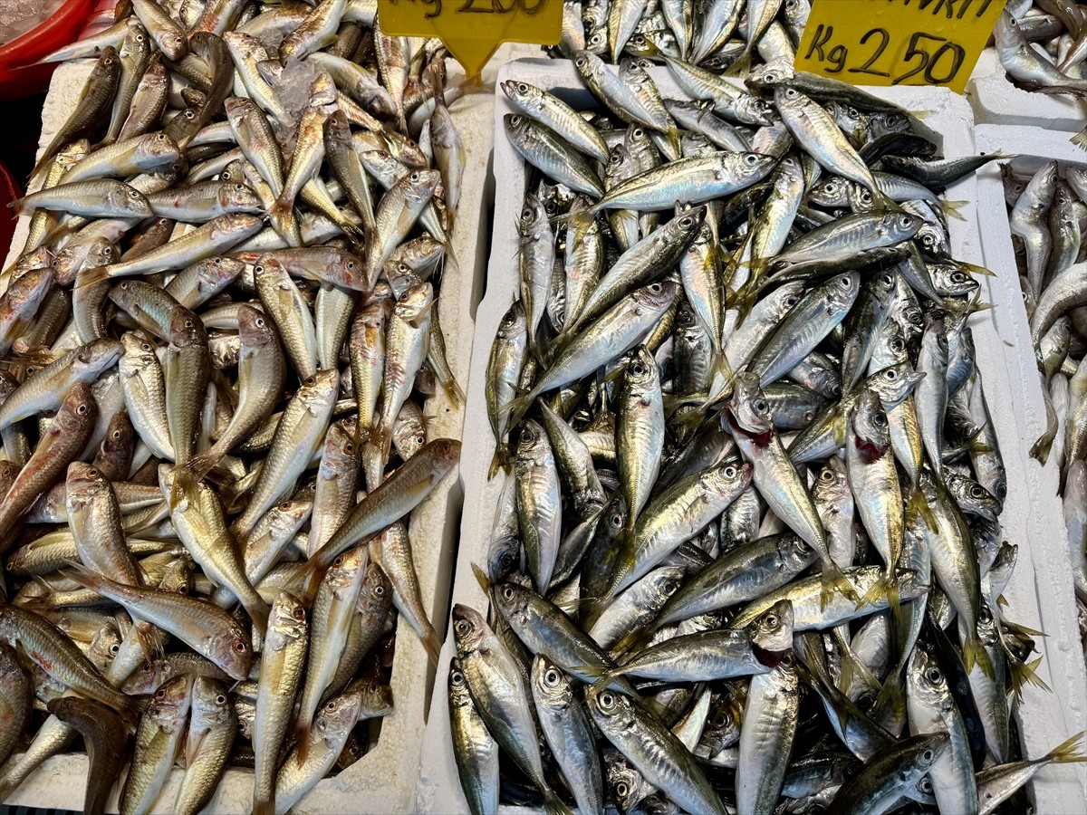 Trabzon'da balıkçı tezgahlarında yaşanan bolluk esnafın yüzünü güldürdü.