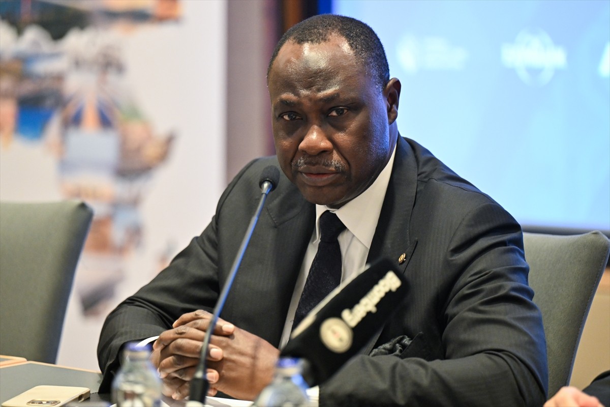 Türkiye-Afrika Günü, Türk Eximbank, Afrika Finans Kurumu (AFC), Dış Ekonomik İlişkiler Kurulu...