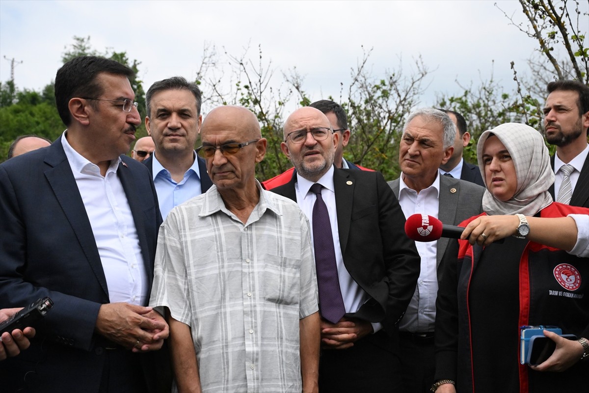 Türkiye Büyük Millet Meclisi (TBMM) Zirai Don Olayını Araştırma Komisyonu üyeleri, Düzce'de fındık...