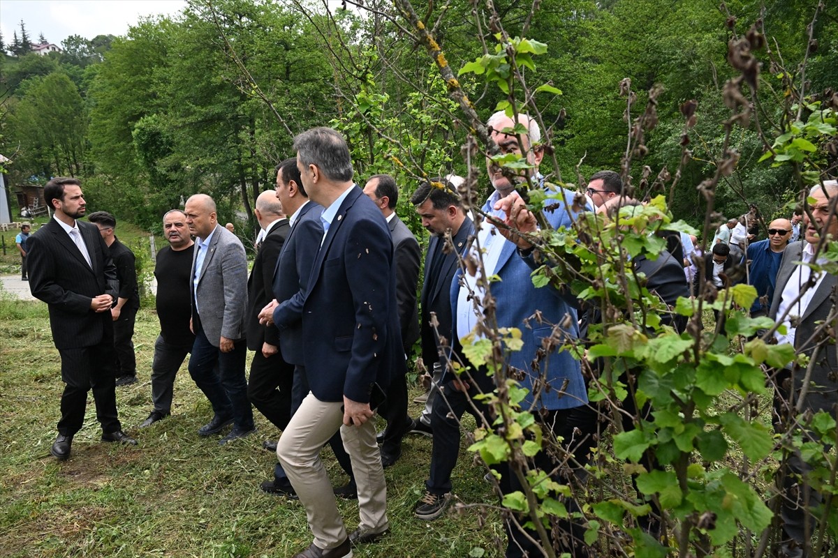 Türkiye Büyük Millet Meclisi (TBMM) Zirai Don Olayını Araştırma Komisyonu üyeleri, Düzce'de fındık...