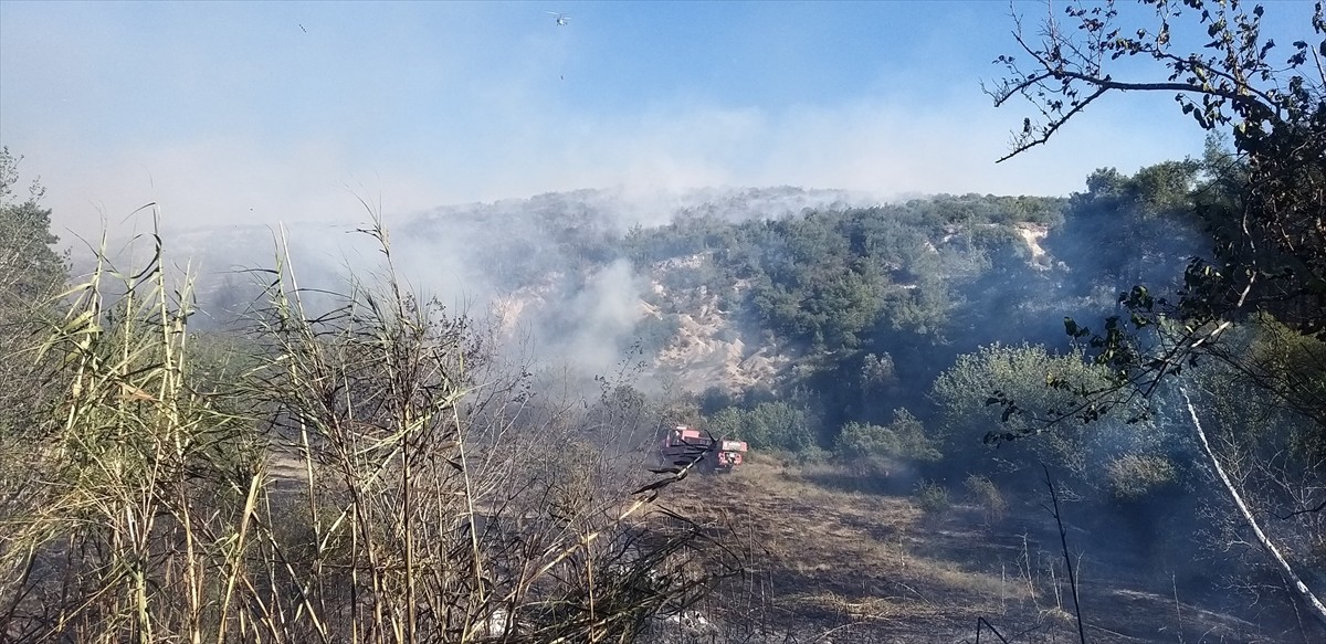 Adana'nın Ceyhan ilçesinde makilikte başlayıp ormanlık alana sıçrayan yangın havadan ve karadan...