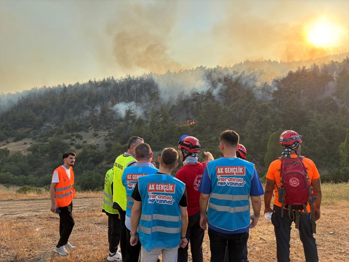 AK Parti Gençlik Kolları Başkanı Yusuf İbiş, orman yangınlarının başladığı ilk andan itibaren...