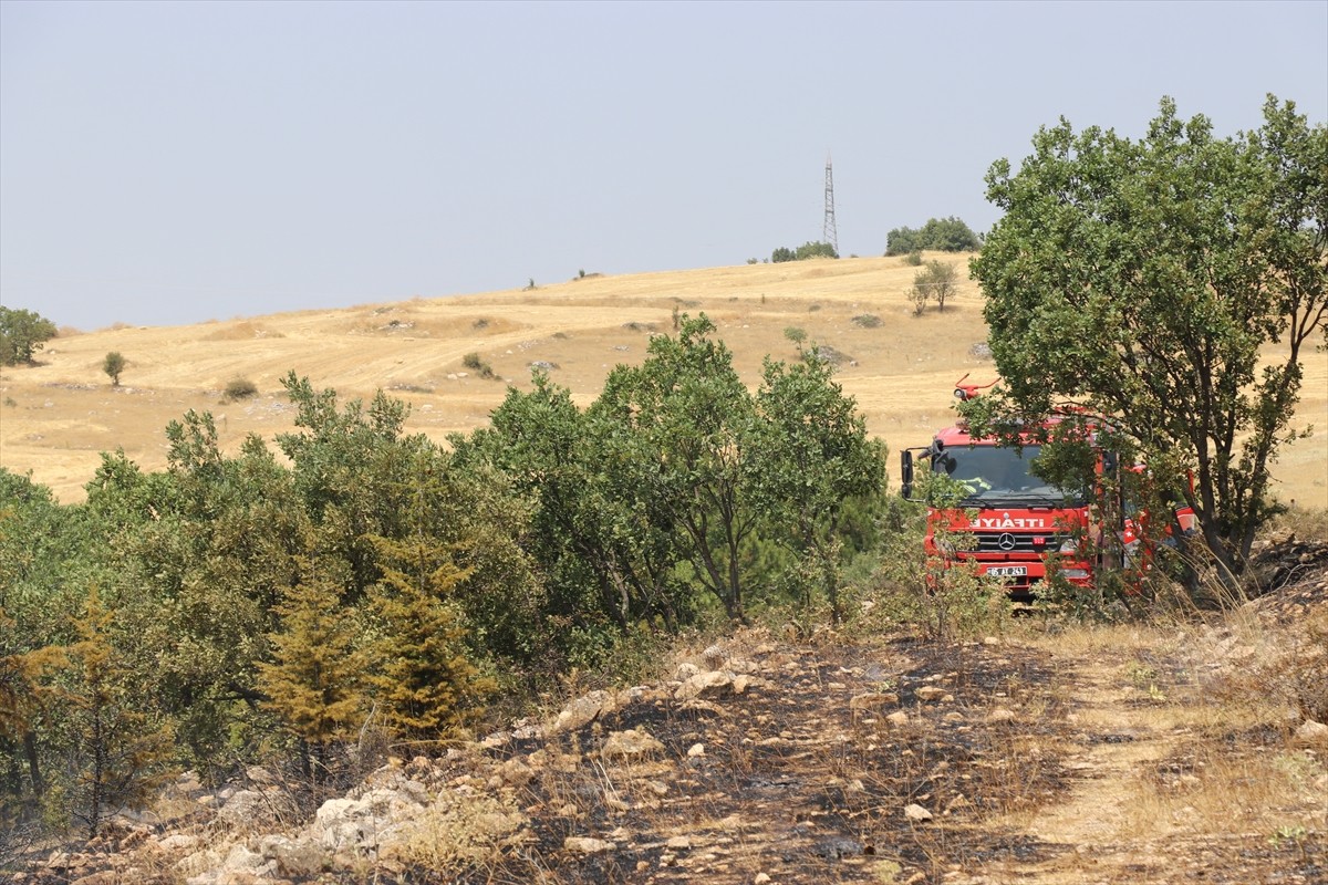 Amasya'da çıkan yangında yaklaşık 2 hektar ormanlık alan zarar gördü.