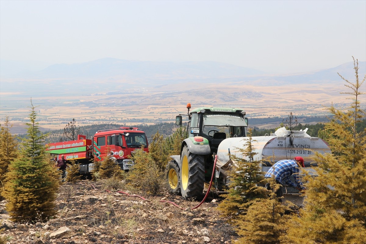 Amasya'da çıkan yangında yaklaşık 2 hektar ormanlık alan zarar gördü.