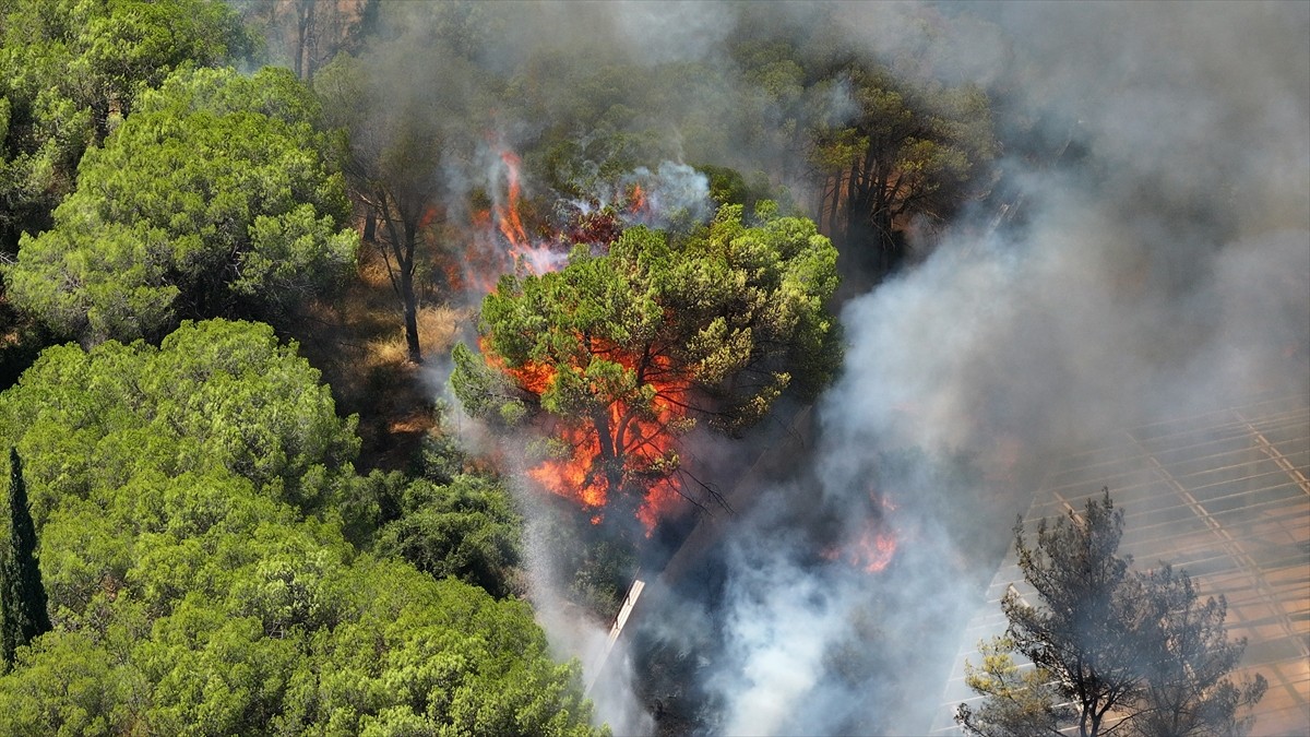 Antalya'nın Aksu ilçesinde ormanlık ve çalılık alanda çıkan yangına müdahale ediliyor.