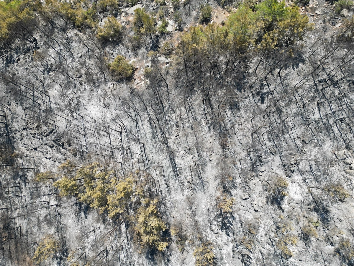 Antalya'nın Gazipaşa ilçesinde çıkan orman yangını havadan ve karadan müdahaleyle kontrol altına...