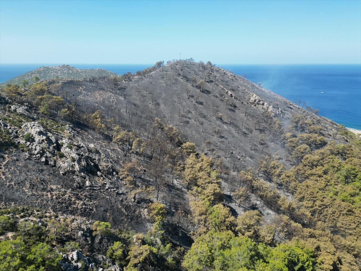Antalya'nın Gazipaşa ilçesinde çıkan orman yangını havadan ve karadan müdahaleyle kontrol altına...