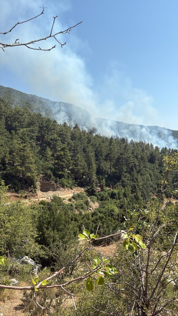 Antalya'nın Kaş ilçesinde ormanlık alanda çıkan yangına havadan ve karadan müdahale...