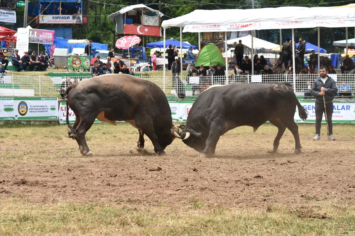 Artvin'de 44'üncüsü organize edilen "Kafkasör Kültür, Turizm ve Sanat Festivali"nin ikinci günü...