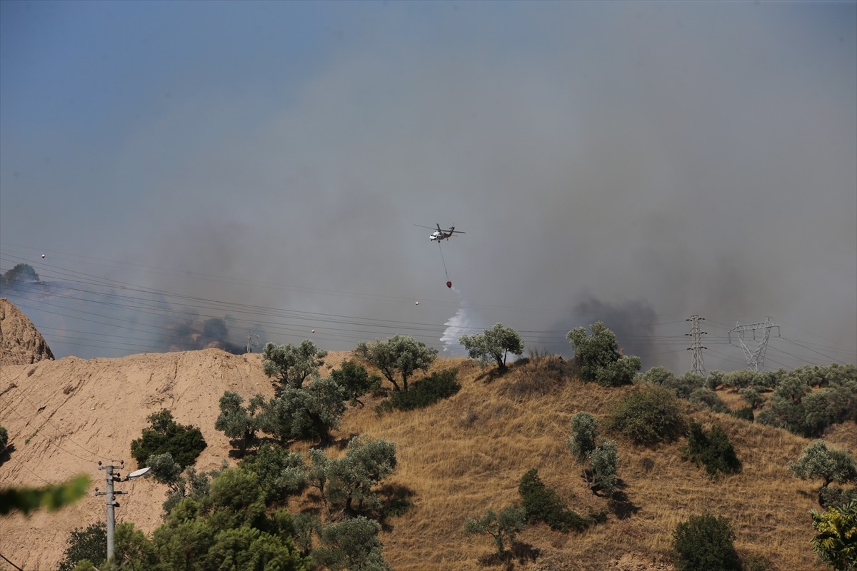 Aydın'ın Efeler ilçesinde ağaçlık alanda çıkan yangına havadan ve karadan müdahale...