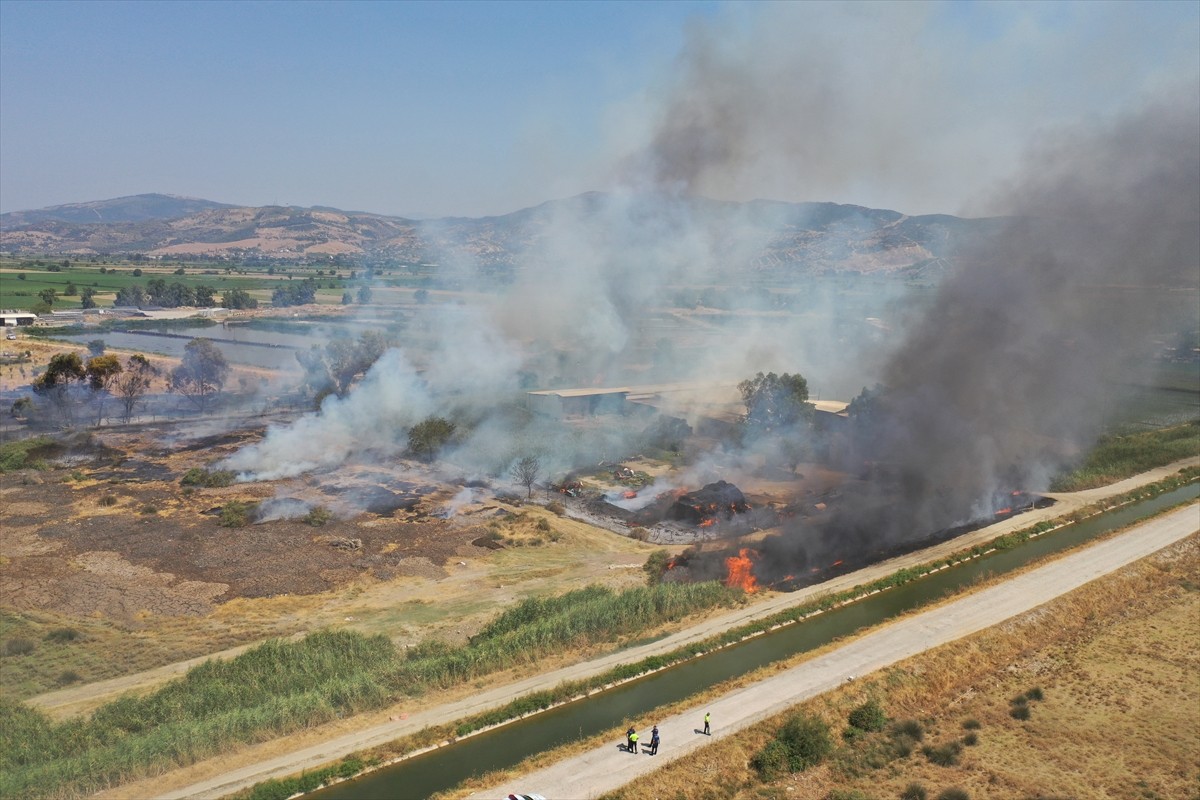  Aydın'ın Efeler ilçesinde otluk alanda çıkan yangın söndürüldü.