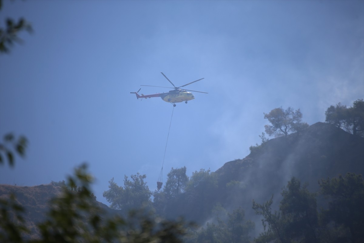 Aydın'ın Efeler ilçesinde, tarım alanında çıkan yangına havadan ve karadan müdahale...