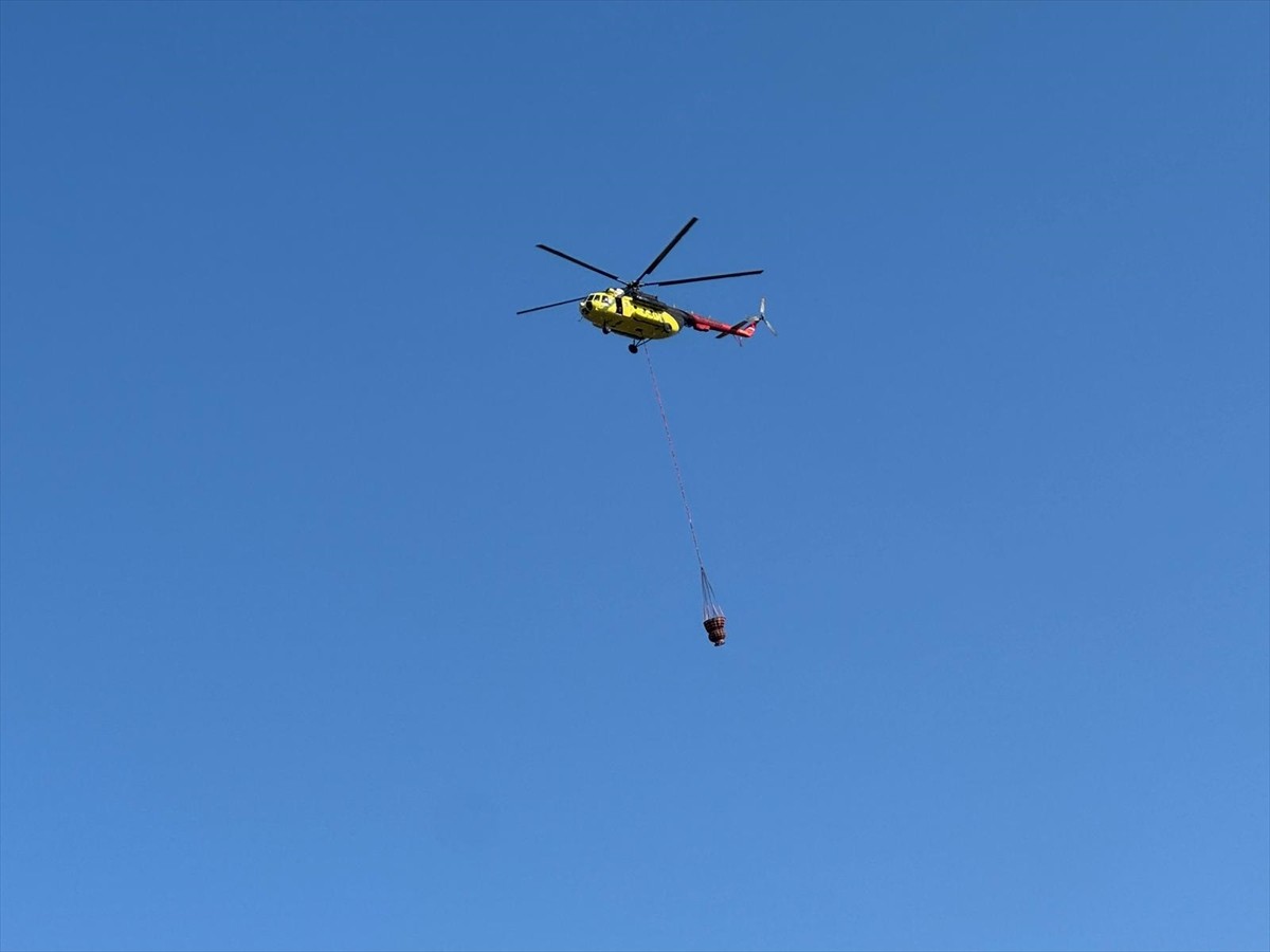 Balıkesir'in Savaştepe ve Altıeylül ilçeleri sınırında çıkan orman yangınının kontrol altına...