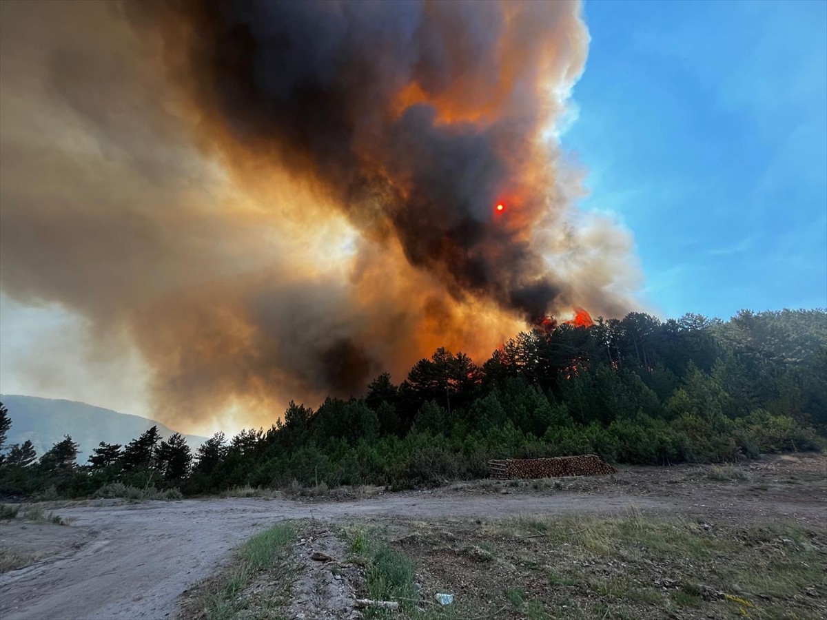 Balıkesir'in Sındırgı ilçesinde, çıkan orman yangını kontrol altına alınmaya...