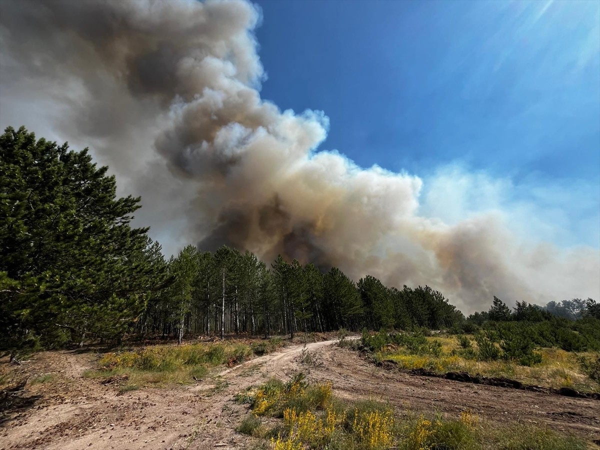 Balıkesir'in Sındırgı ilçesinde, çıkan orman yangını kontrol altına alınmaya...