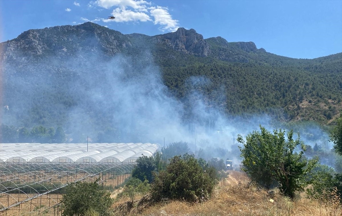 Bilecik'in İnhisar ilçesinde tarım arazisinde çıkan yangın kontrol altına alındı.